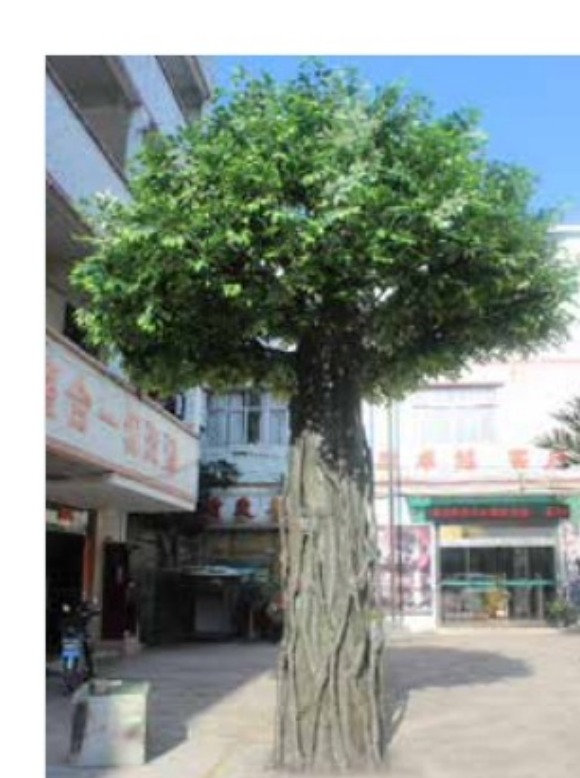 Multi-stem artificial ficus tree