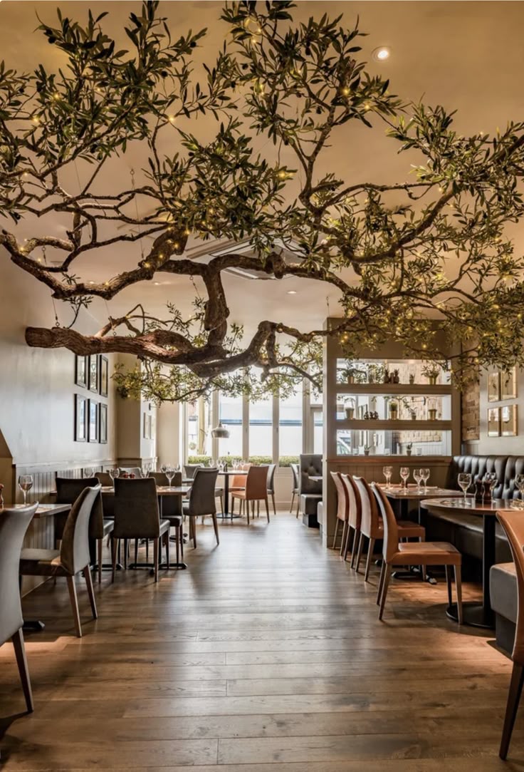 Ceiling-mounted artificial olive branches in a restaurant