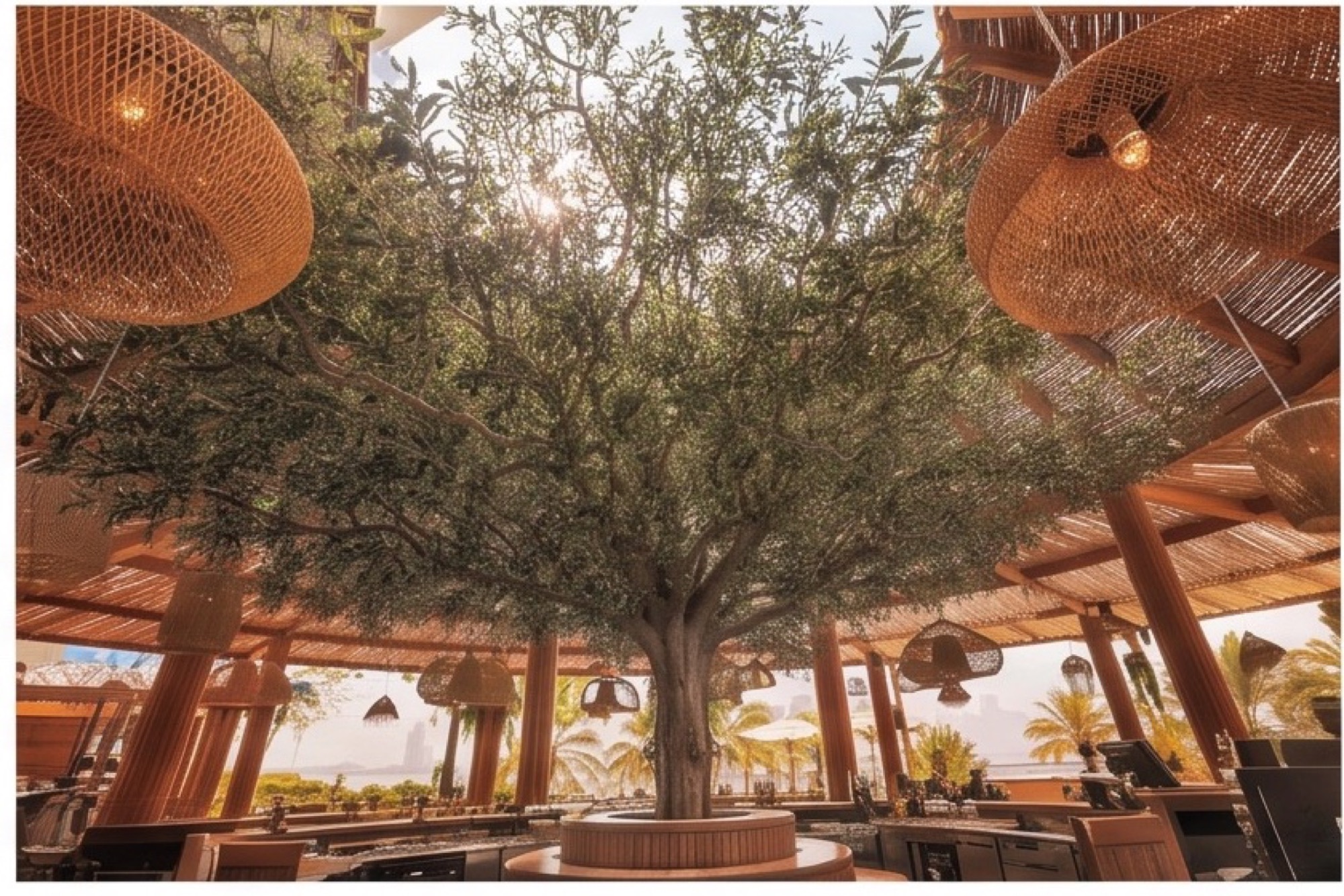 Large artificial olive tree installed in a premium hospitality space