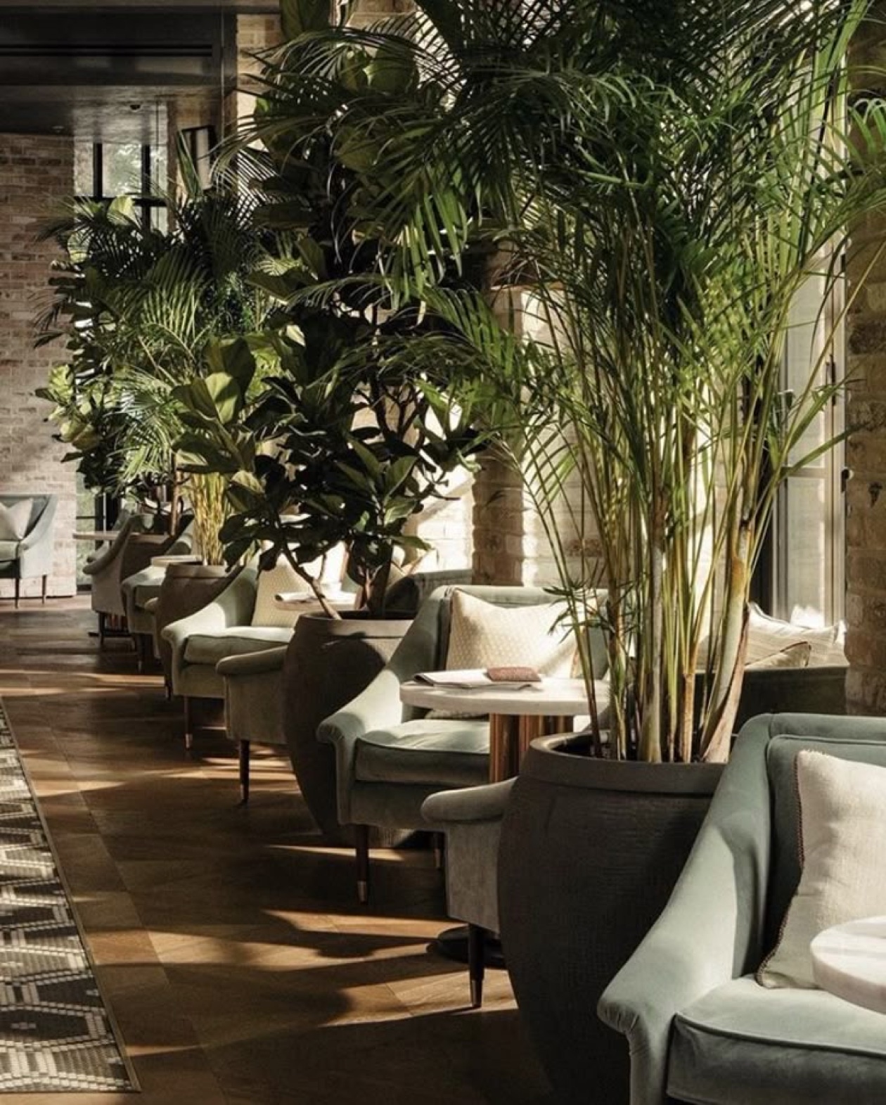 Artificial palms and plants in a hospitality interior