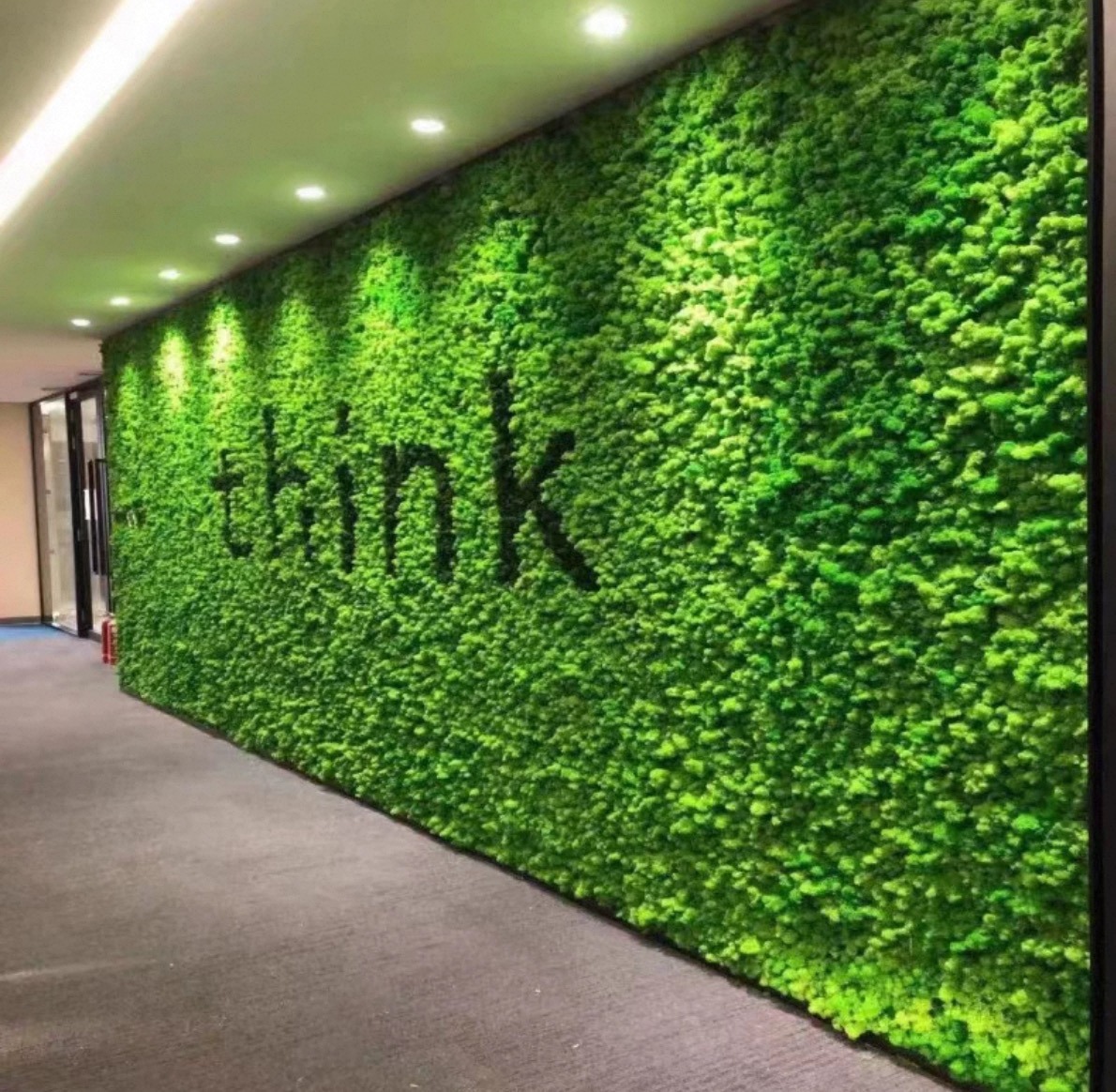 Moss feature wall