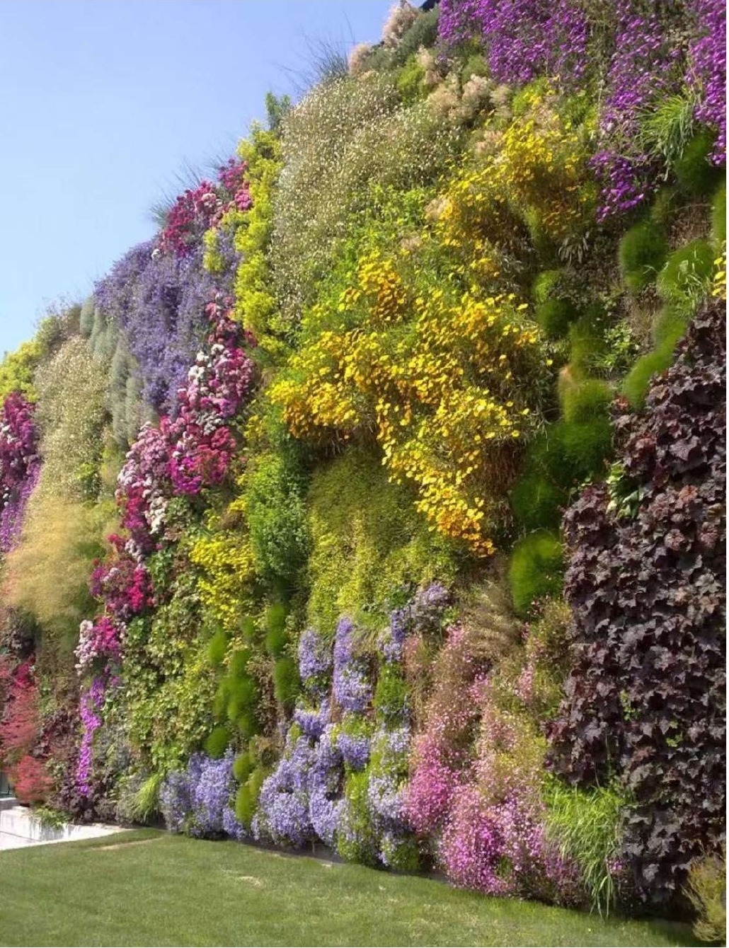 Floral green wall